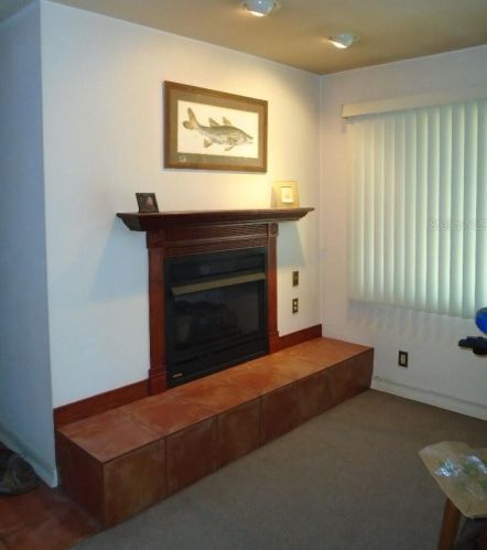 111 Carey Pl, Lakeland, FL 33803-3900