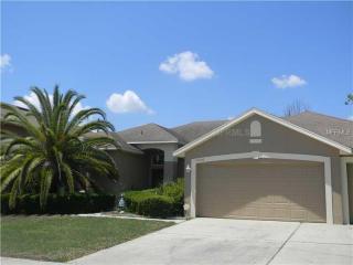 10236 Newington Dr, Orlando, FL 32836-3743