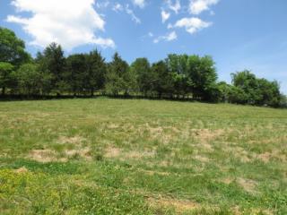 354 Mount Wesley Rd, Telford, TN 37690-3142