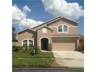 3123 Dasha Palm Dr, Kissimmee, FL 34744-9165