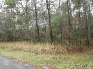 43 Foxglove Ct, Homosassa, FL 34446-5324