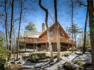 8 Melanie Ln, Eldred, NY 12732-5117