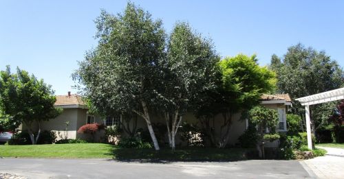 935 Union Rd, Hollister CA  95023-9117 exterior