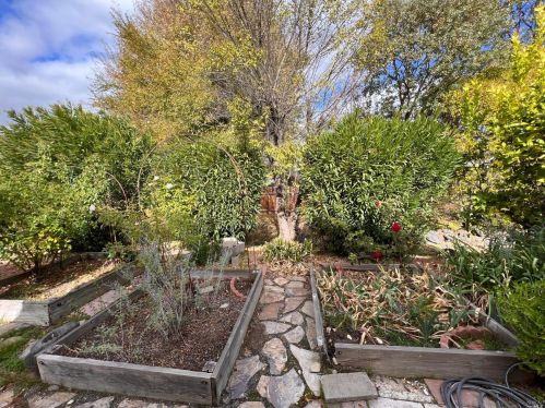 704 Sequoia St, Windsor CA  95492-9328 exterior