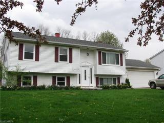1470 Thatcher Dr, Concord Township, OH 44077-5002