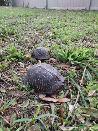 409 Zelda Blvd, Daytona Beach FL  32118-3537 exterior