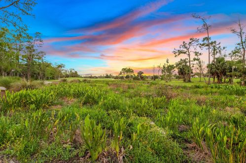 3828 Mahogany Bend Dr, Naples FL  34114-6425 exterior