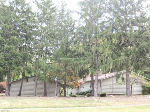 12979 Falling Water Rd, Cleveland, OH 44136-4306