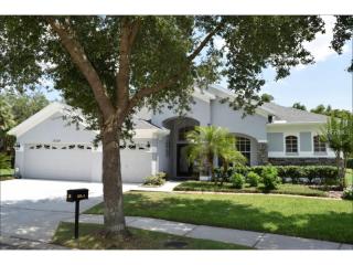 15324 Vireoglen Ln, Lithia, FL 33547-4813