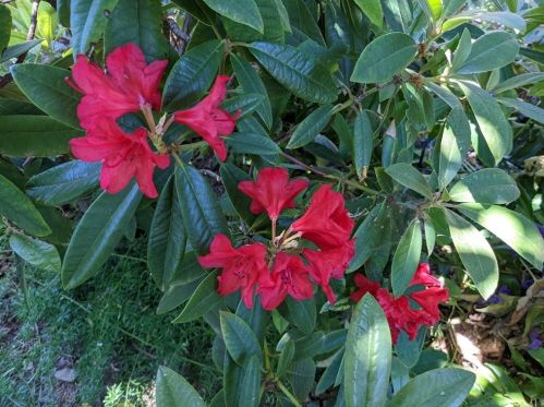 1087 Via Verona Dr, Chico CA  95973-1030 exterior