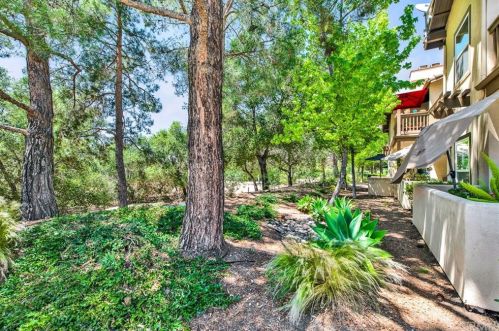 7 Timbre, Trabuco Canyon, CA 92688-2024