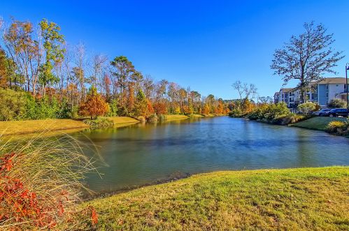 1713 Lauda Dr, Mount Pleasant SC  29464-9601 exterior