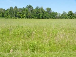 173 Stone Valley Dr, Granville, OH 43023-8034