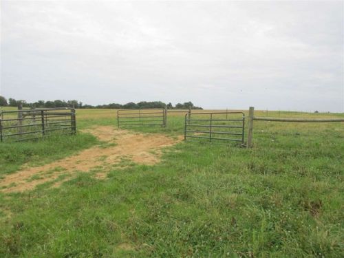 58 Davis Orr Rd, Bradford, TN 38316-7668