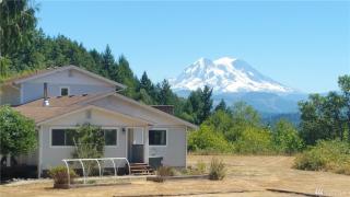 41525 Mountain Hwy, Alder, WA 98328-9161