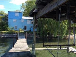 8516 Lower Lake Rd, Lodi, NY 14860-9658