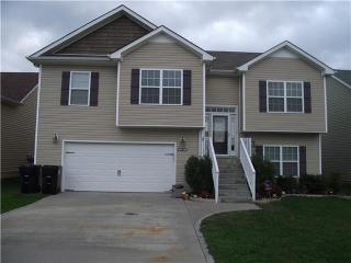 3789 Suiter Rd, Clarksville, TN 37040-6040