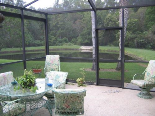 3664 Darston St, Palm Harbor FL  34685-1182 exterior