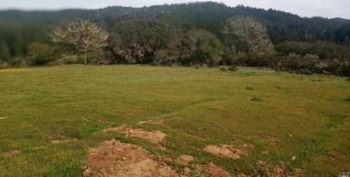 5480 Canyon Rd, Willits CA  95490-9242 exterior