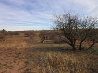 515 Ole Paint Way, Cornville, AZ 86325-5610