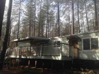 20768 Kabyai Ct, Lakehead, CA 96051-9653