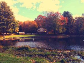 90 Lodge Rd, West Saugerties, NY 12477-4221
