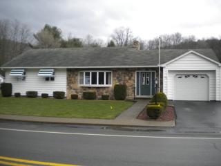 225 Gulick St, Blakes, PA 16912-1020