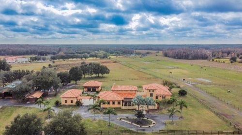 17341 Morris Bridge Rd, Thonotosassa FL  33592-2264 exterior