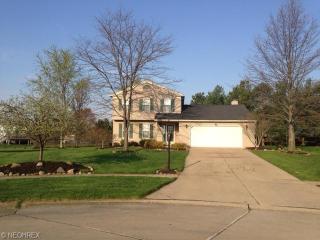 4163 Malibu Dr, Medina, OH 44256-9047