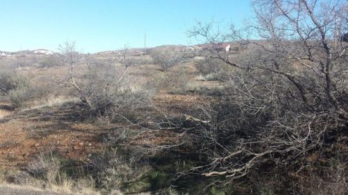 16950 Spring Valley Rd, Bensch Ranch, AZ