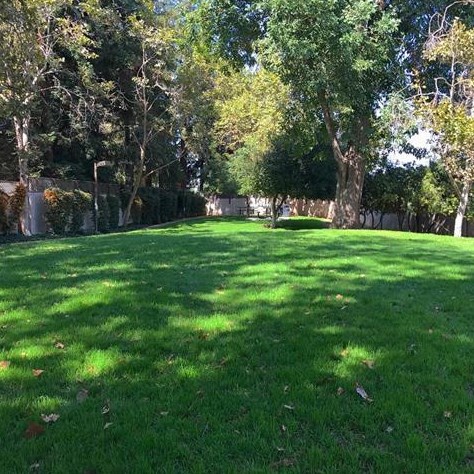 509 Dix Way, San Jose CA  95125-1918 exterior