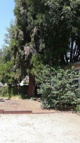 25072 Barton Rd, Loma Linda CA  92354-2830 exterior