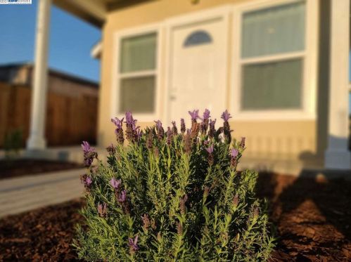 9114 B St, Oakland CA 94603-2423 exterior