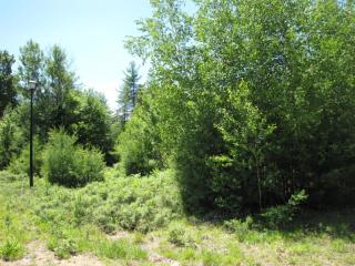 11 Rollman Cir, Hadley, NY 12835-2119