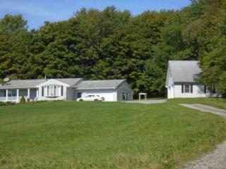 121 Buck Hill Rd, North Harpersfield, NY 12093-3805