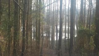 602 Tanasi Ln, Loudon, TN 37774-2978