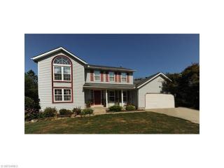 7315 Spencer Lake Rd, Medina, OH 44256-9199