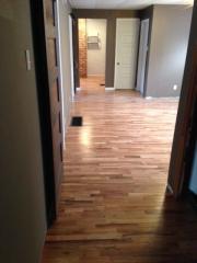 95 Greenwood Pl, Buffalo NY  14213-1426 exterior