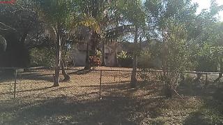 16894 90th St, Town Of Loxahatchee Groves, FL 33470-1728