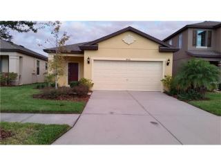 4508 Savannah Holly Pl, Riverview FL  33578-3044 exterior