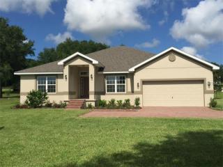 24023 Plymouth Hollow Cir, Mount Plymouth, FL 32776-9501