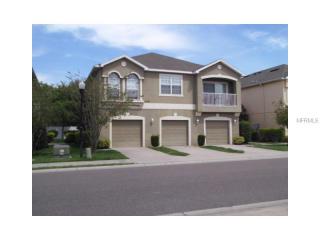 8856 Moonlit Meadows Loop, Riverview, FL 33578-8836
