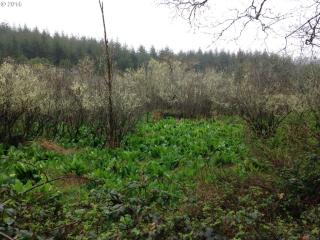 58323 Garden Valley Rd, Coquille OR  97423-9636 exterior