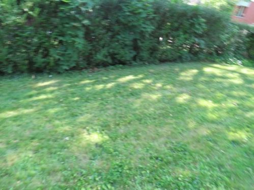 1318 Wilson St, Mckeesport PA  15132-5402 exterior