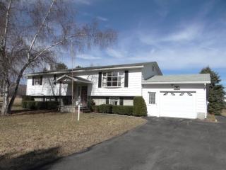 12 Medallion Dr, Otsdawa, NY 13825-2122