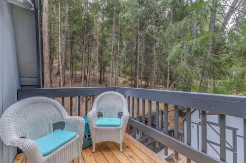 16199 Pioneer Creek Rd, Pioneer CA  95666-9415 exterior