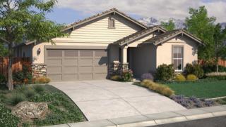 3571 Long Dr, Minden, NV 89423-7733