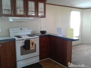 183 Silver Birch Cir, Osceola NC  27214-9774 exterior