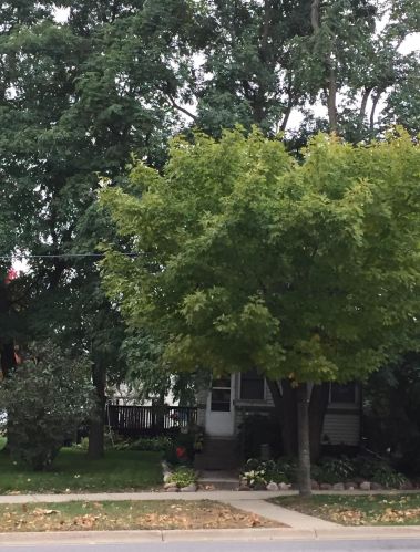 127 14th Ave, Saint Cloud MN  56301-4149 exterior