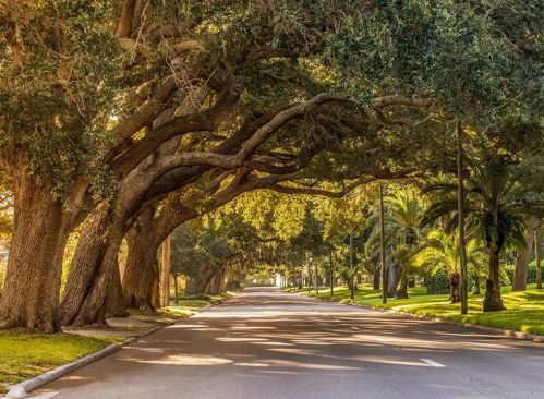 8313 Lightfoot Dr, Nokomis FL  34275-3211 exterior